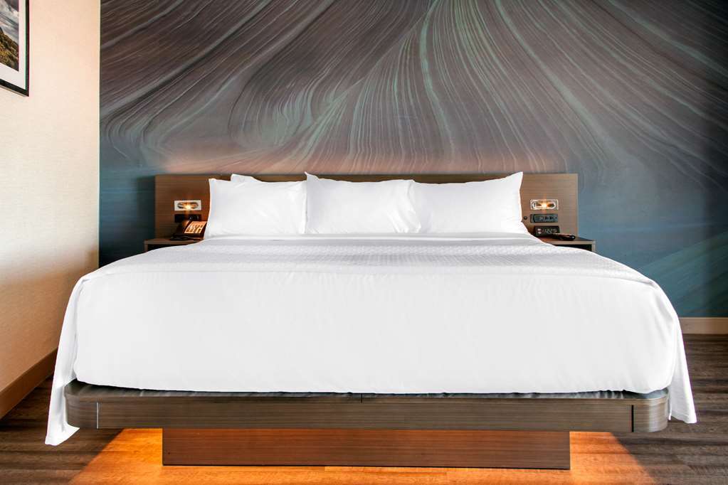 Hotel Centro Sonoma Wine Country, Tapestry Collection Hilton ロナート・パーク 部屋 写真